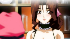Seductive big breasted anime babes in nice hentai toon